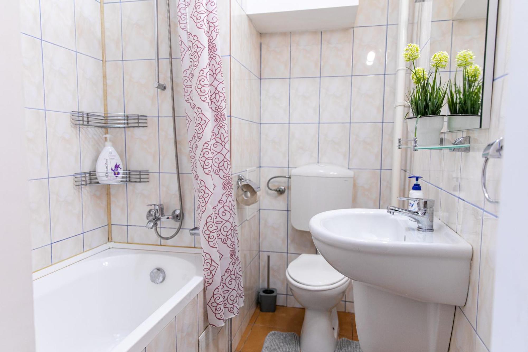 Color Apartment Regina Elisabeta 23 Bucarest Extérieur photo